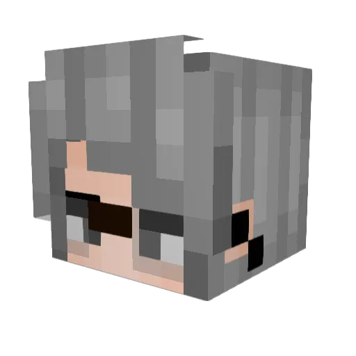 Squiddude014 Minecraft avatar head, 3D render