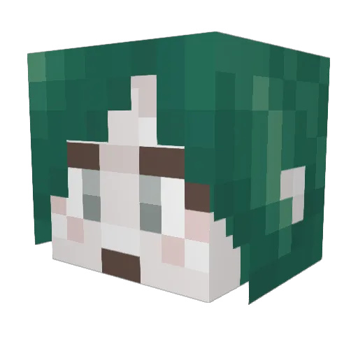 SquiddyNoodles Minecraft avatar head, 3D render