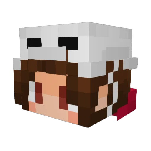 SquiddySquidHat Minecraft avatar head, 3D render
