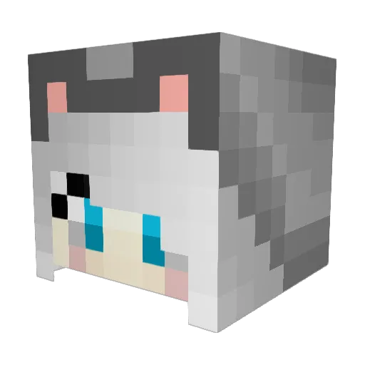 Squidge256 Minecraft avatar head, 3D render