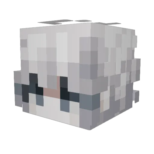 Squidgo1 Minecraft avatar head, 3D render