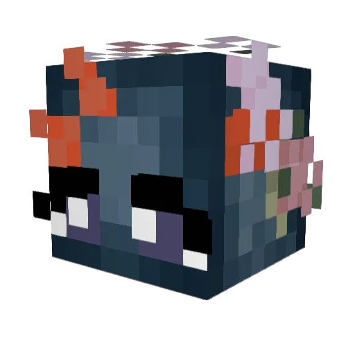 Squidingtonmc Minecraft avatar head, 3D render