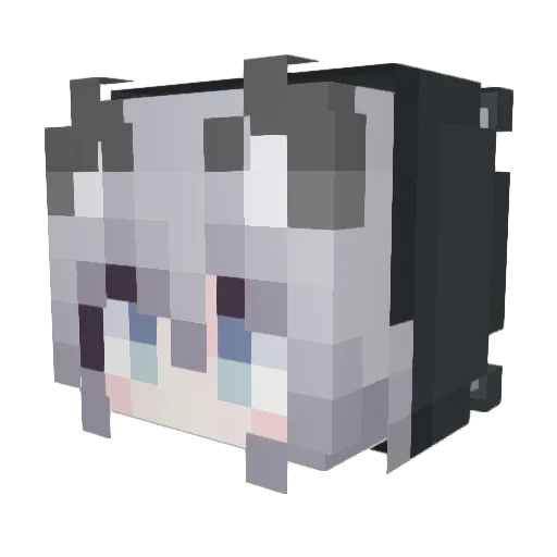 Squidktd Minecraft avatar head, 3D render
