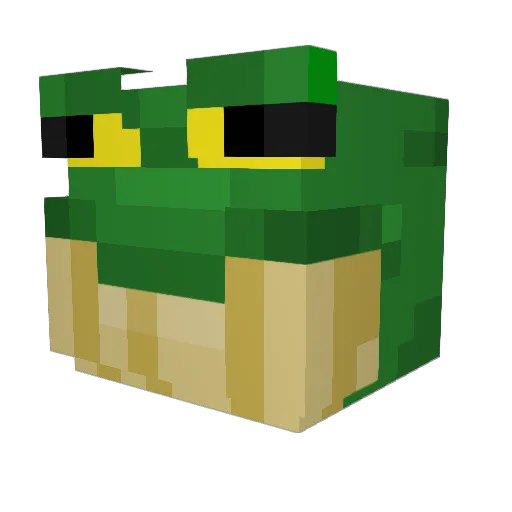 Squidman1881 Minecraft avatar head, 3D render