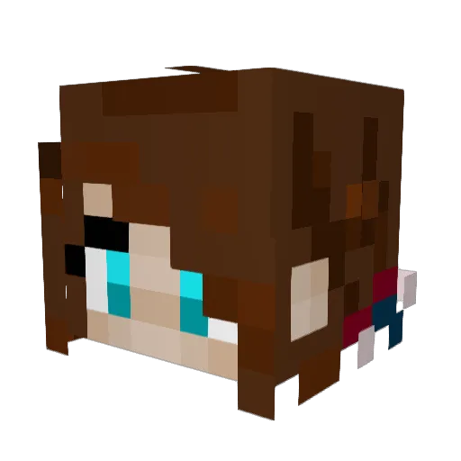 Squidney12 Minecraft avatar head, 3D render
