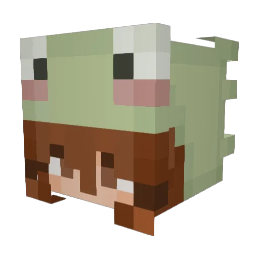 Squidney86 Minecraft avatar head, 3D render