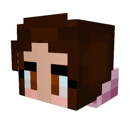 Squidneybug Minecraft avatar head, 3D render