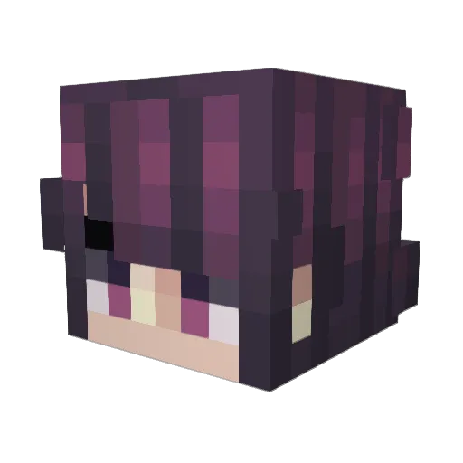 Squidoflove Minecraft avatar head, 3D render