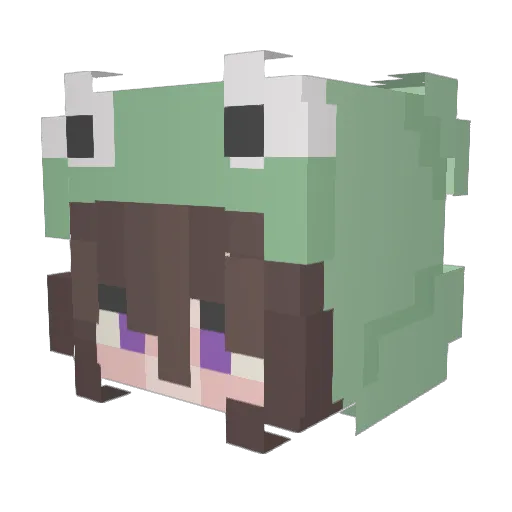 Squidoo4300 Minecraft avatar head, 3D render