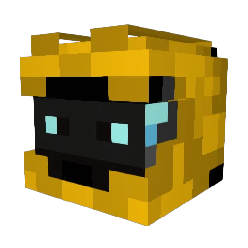 Squidslayer9000 Minecraft avatar head, 3D render