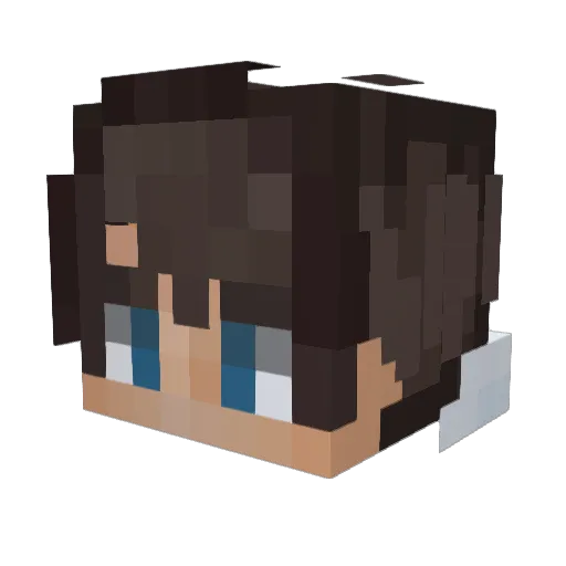 Squidtaastic Minecraft avatar head, 3D render