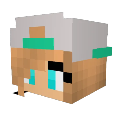SquidwardClan07 Minecraft avatar head, 3D render