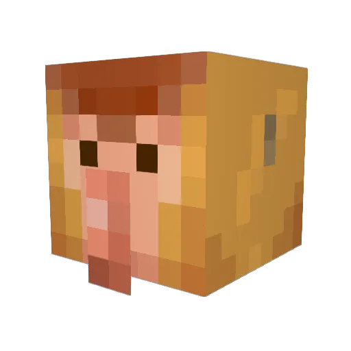 SquidyCakez Minecraft avatar head, 3D render