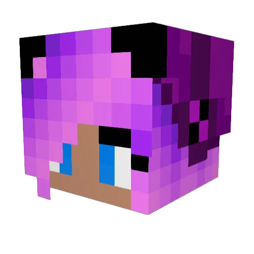 Squiggy710 Minecraft avatar head, 3D render