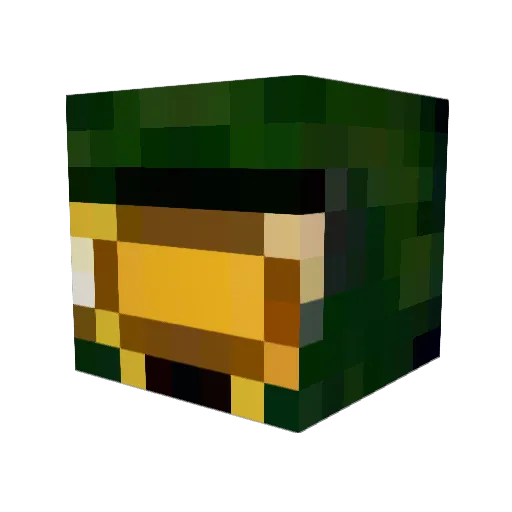 SquiglySquiggles Minecraft avatar head, 3D render