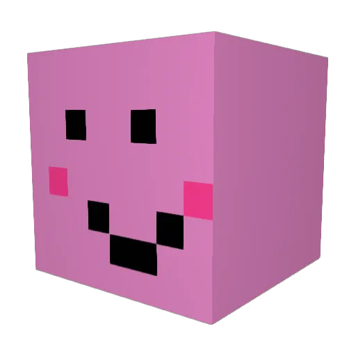 Squiidgy Minecraft avatar head, 3D render
