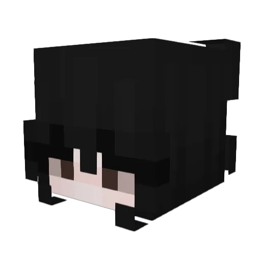 SquijiPOP Minecraft avatar head, 3D render