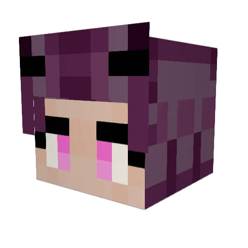 Squijuim Minecraft avatar head, 3D render
