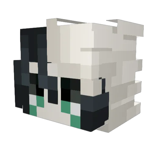 Squimalte Minecraft avatar head, 3D render