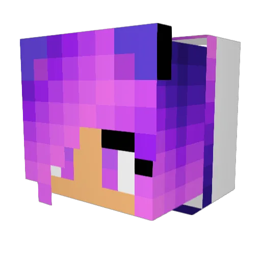 Squimp_q Minecraft avatar head, 3D render