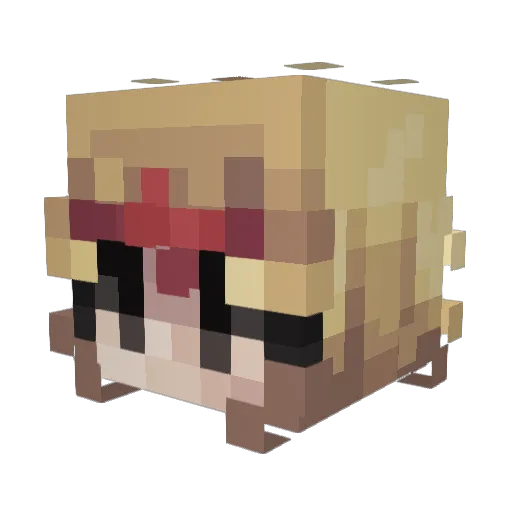 Squimpkin Minecraft avatar head, 3D render
