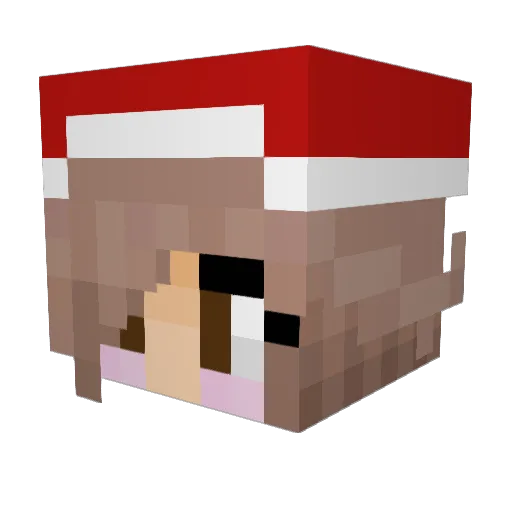 Squink123 Minecraft avatar head, 3D render