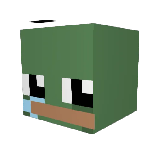 SquintyTurtle Minecraft avatar head, 3D render