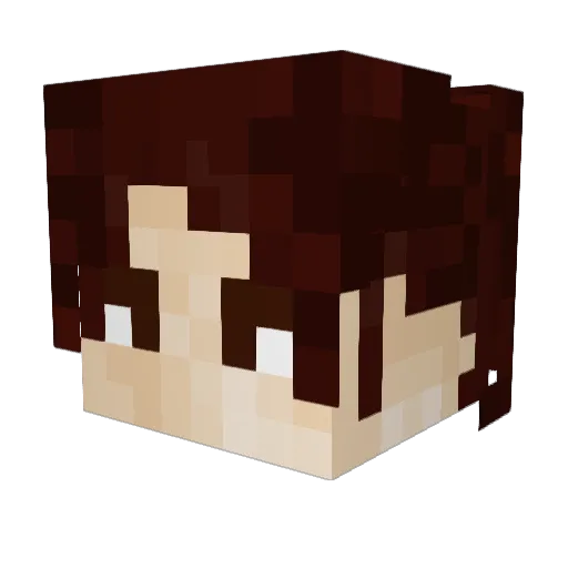 Squire04 Minecraft avatar head, 3D render