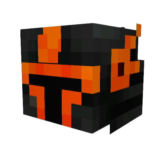 Squire2264 Minecraft avatar head, 3D render