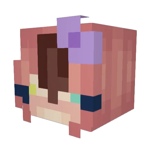 Squires1704 Minecraft avatar head, 3D render