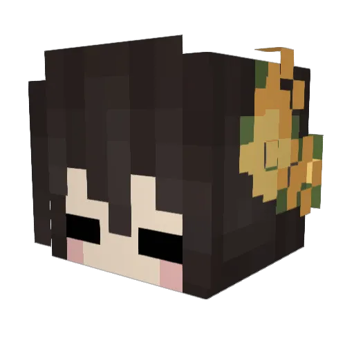 Squirkles Minecraft avatar head, 3D render
