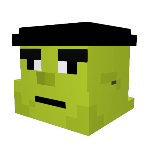Squirrel501 Minecraft avatar head, 3D render