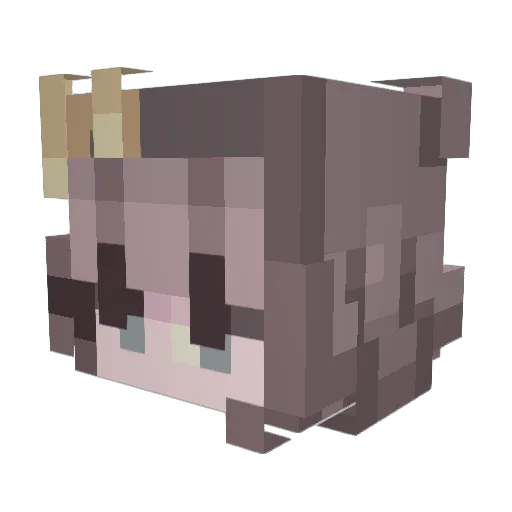 SquirrelBoxx Minecraft avatar head, 3D render