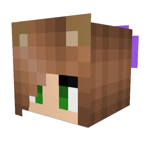 SquirrelPAW Minecraft avatar head, 3D render