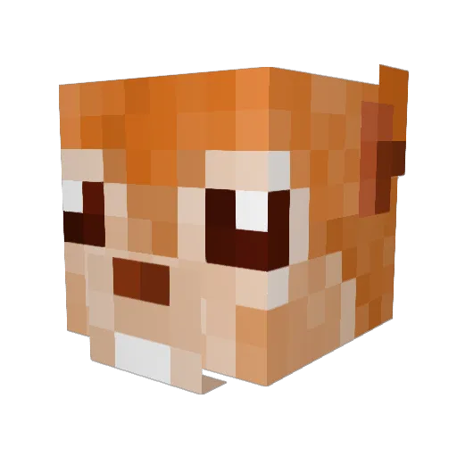 Squirrelfps Minecraft avatar head, 3D render