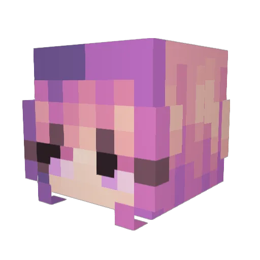 Squirrelly0722 Minecraft avatar head, 3D render