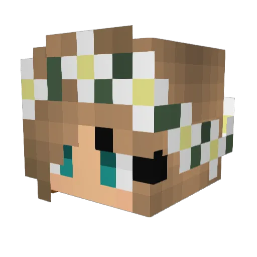Squirrelsrule Minecraft avatar head, 3D render