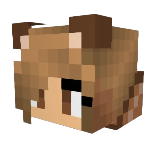SquirrelyKat Minecraft avatar head, 3D render
