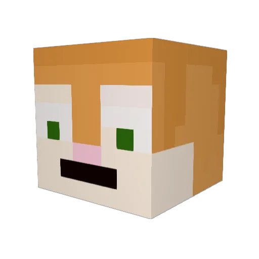 Squirrely_nut Minecraft avatar head, 3D render