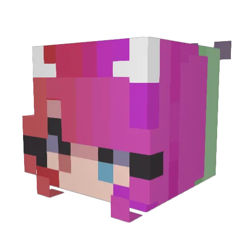 Squirtle0804 Minecraft avatar head, 3D render