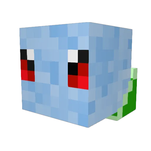 Squirtle1289 Minecraft avatar head, 3D render