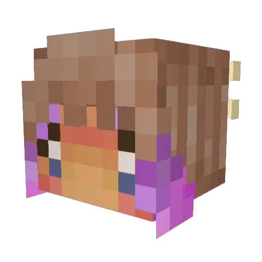 SquirtleBean Minecraft avatar head, 3D render