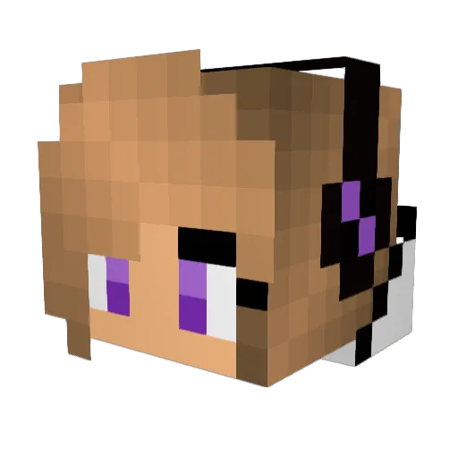 SquirtleGirl3 Minecraft avatar head, 3D render