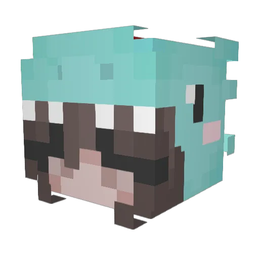 SquirtleKitty Minecraft avatar head, 3D render