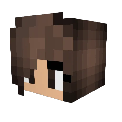 SquirtleKnows Minecraft avatar head, 3D render