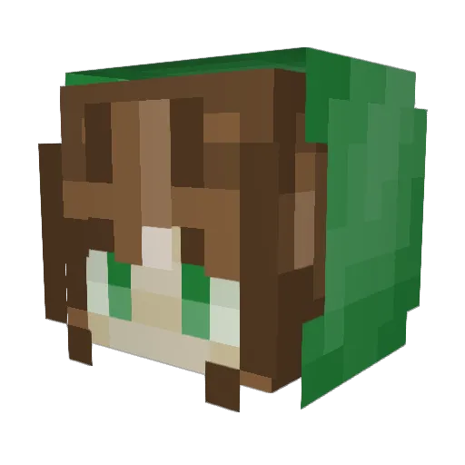 SquirtleManiac Minecraft avatar head, 3D render