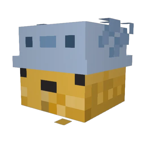 SquirtyBoi256 Minecraft avatar head, 3D render