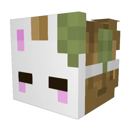 Squish_Boi_02 Minecraft avatar head, 3D render