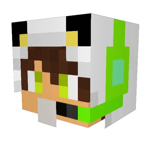 Squish_bub Minecraft avatar head, 3D render