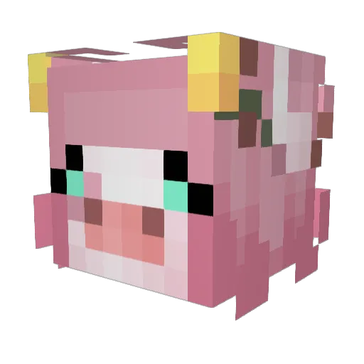SquishyBabit Minecraft avatar head, 3D render